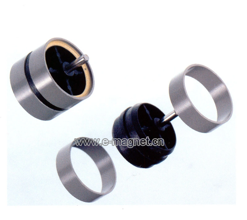 High Magnetic Force Ring Shape Bonded NdFeB Magnet