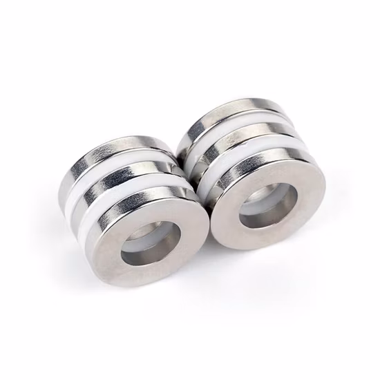 NdFeB 링 자석 제조